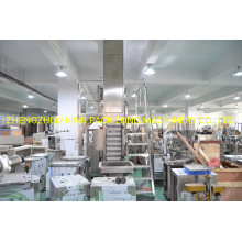 Automatic Detergent Powder Pouch Filling Packing Machine